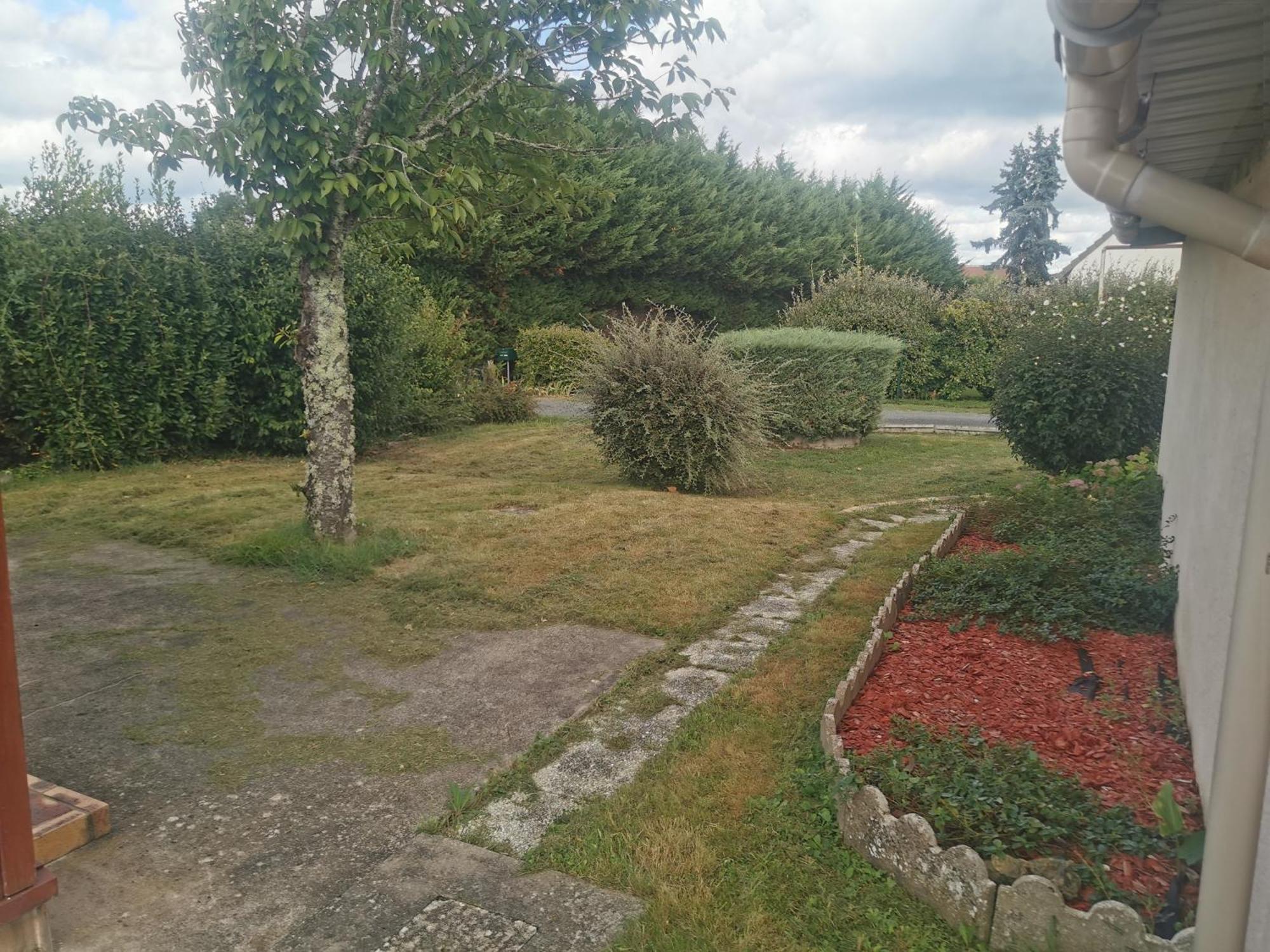 Gîtes aux cœurs des vignes a 10mm du zoo de beauval 3 étoiles Mareuil-sur-Cher Exterior foto